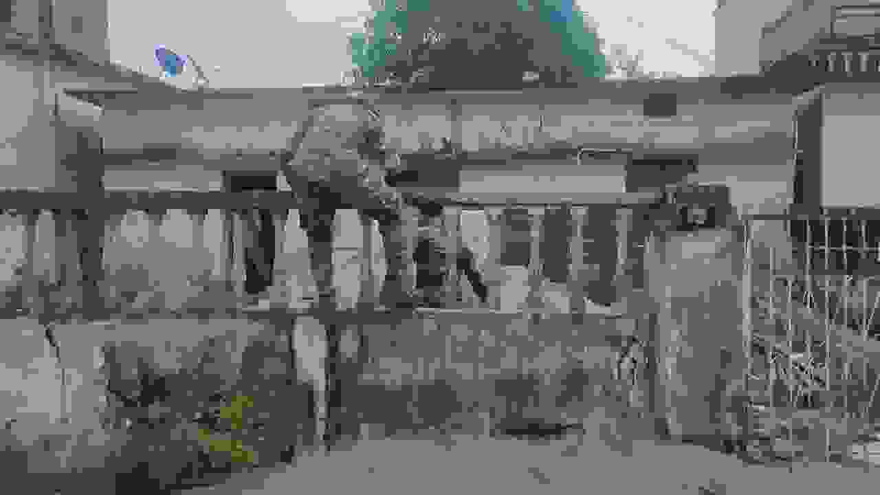 सिपाही को धक्का देकर लूट का आरोपी फरार