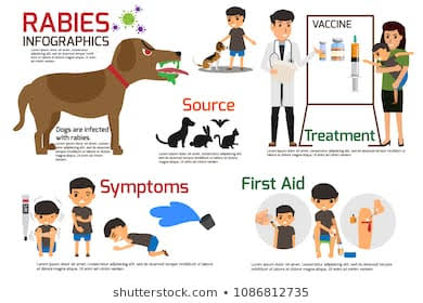 एंटी रेबीज टिके लगाने की सुविधा