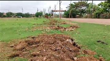 निगम क्षेत्र में वृहद रूप से वृक्षारोपण की हुई शुरुआत, अधिकांश जगहों पर निगम ने केवल खोदे गड्ढे, निगम के द्वारा की गई सिर्फ खानापूर्ति
