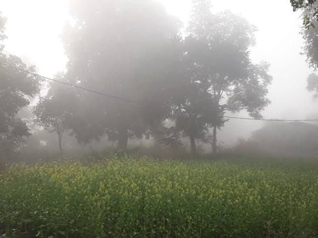 मौसम खुलते हीं बढ़ा छत्तीसगढ़ में ठंढ का कहर