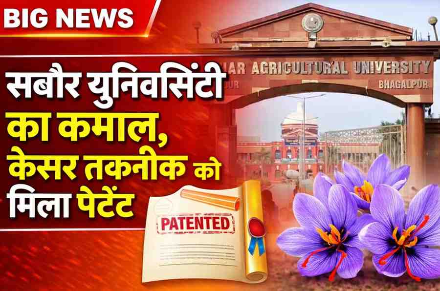 बिहार कृषि विश्वविद्यालय सबौर ने रचा इतिहास, केसर की इन-विट्रो तकनीक को मिला पेटेंट