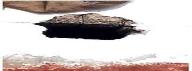 मंदिर की दीवार में छेद करके चोरी